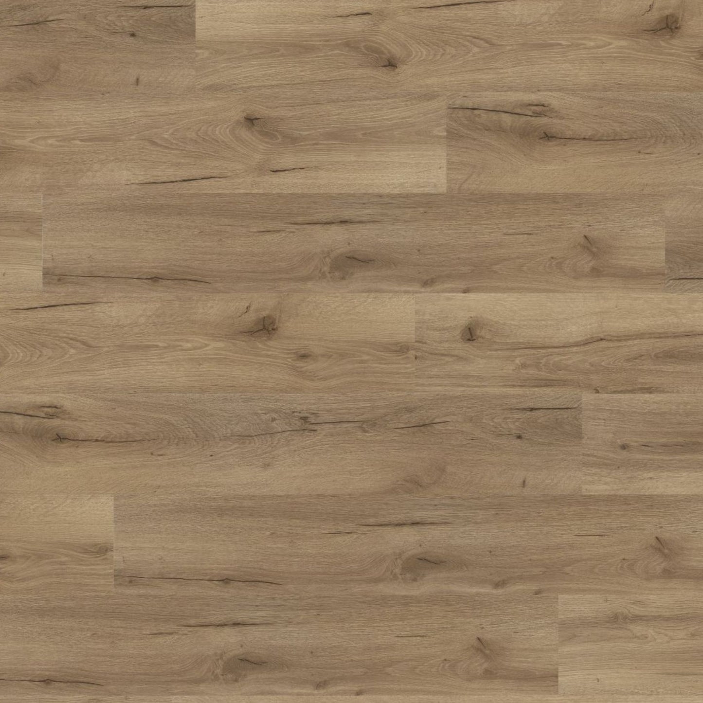 Albany Oak Lignum Fusion 12mm Laminate Board Image