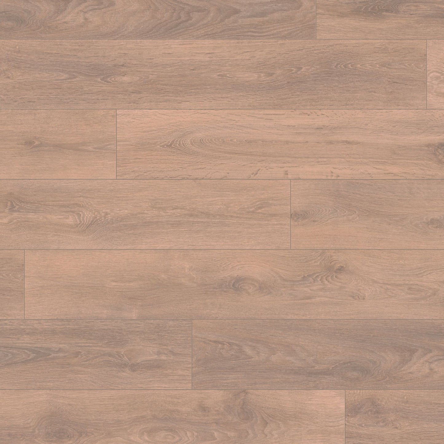 Blonde Oak Super Natural 8mm Laminate Board Image