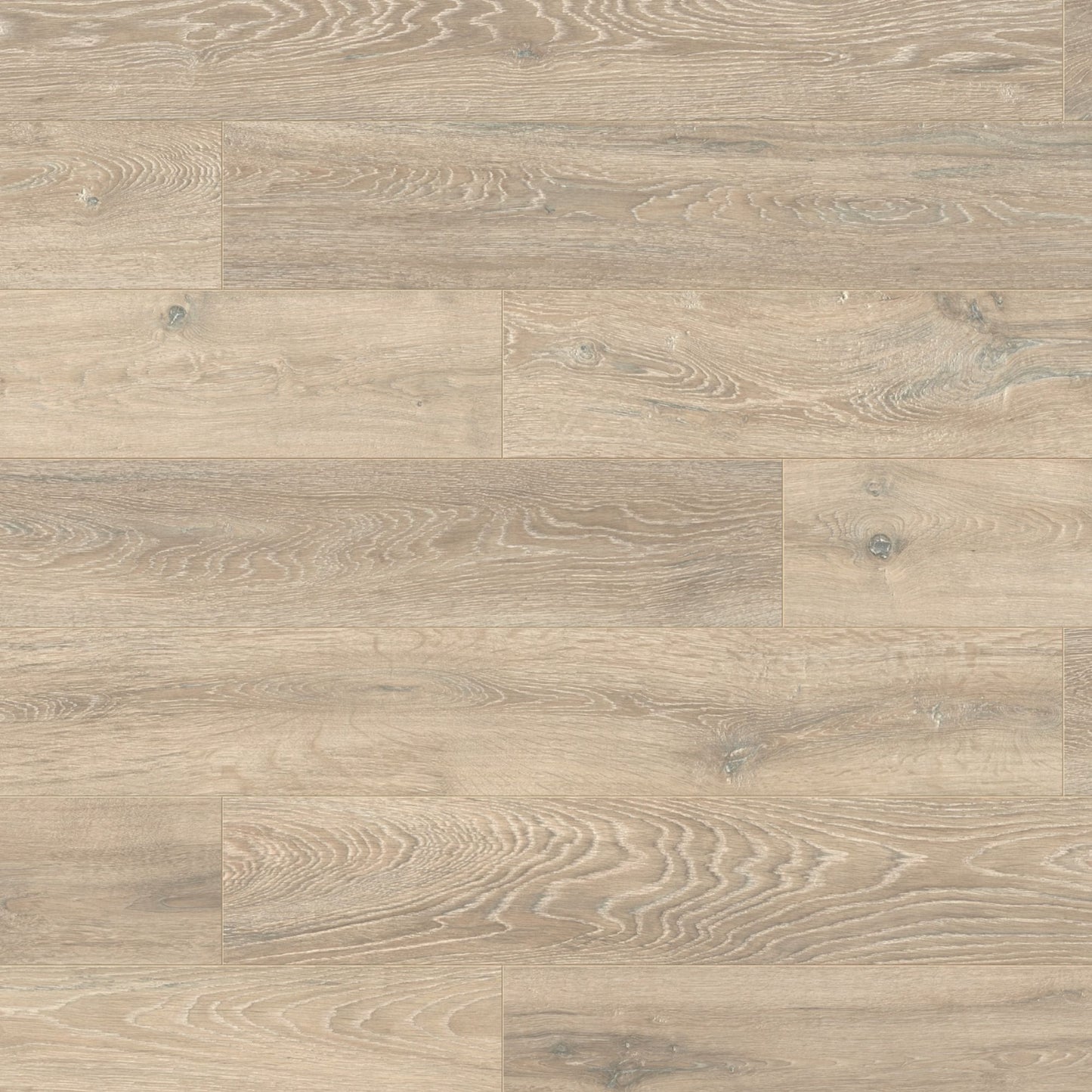 Colorado Oak Eurohome 12mm Laminate Board Image