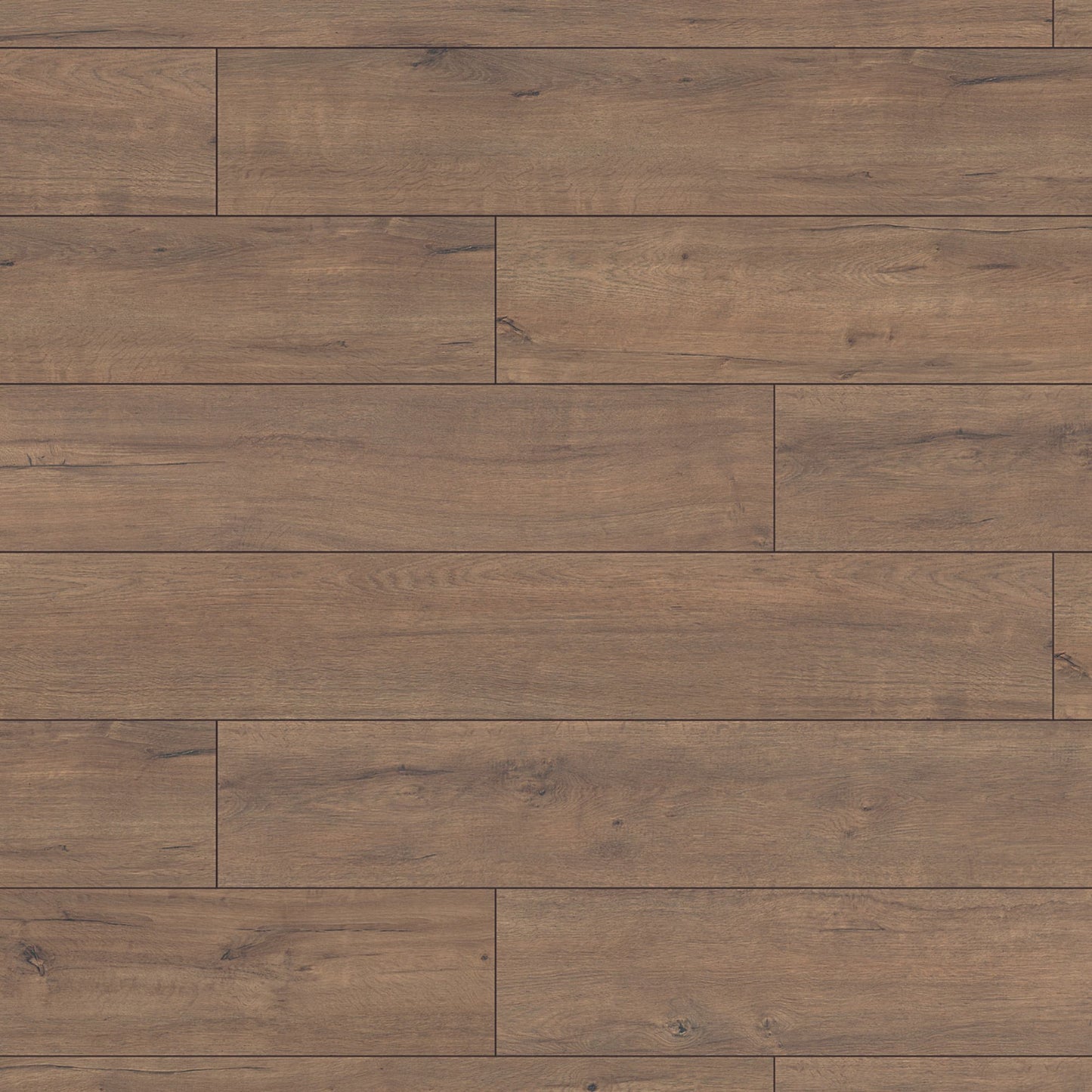 Fawn Apollo Oak Super Natural 8mm Laminate Board Image