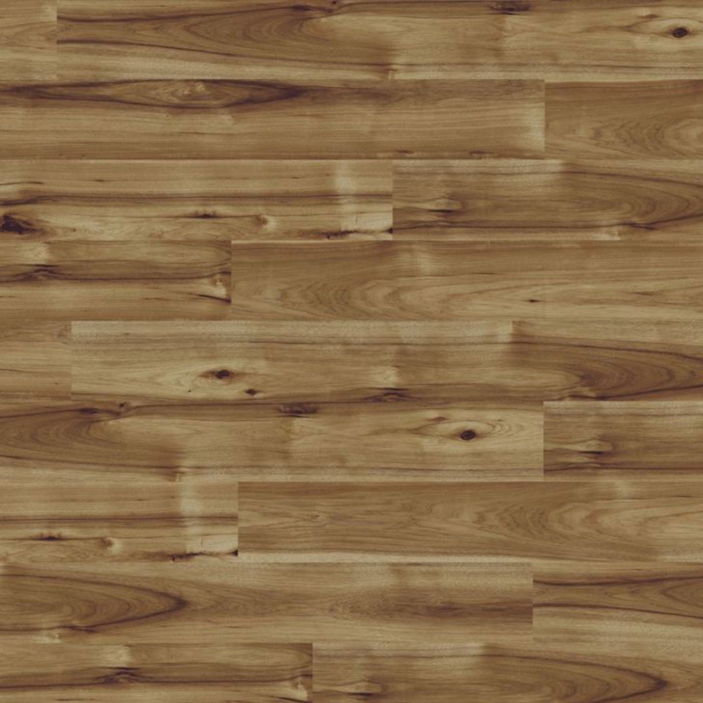 Hickory Bravo Kaindl Gloss 8mm Laminate Board Image