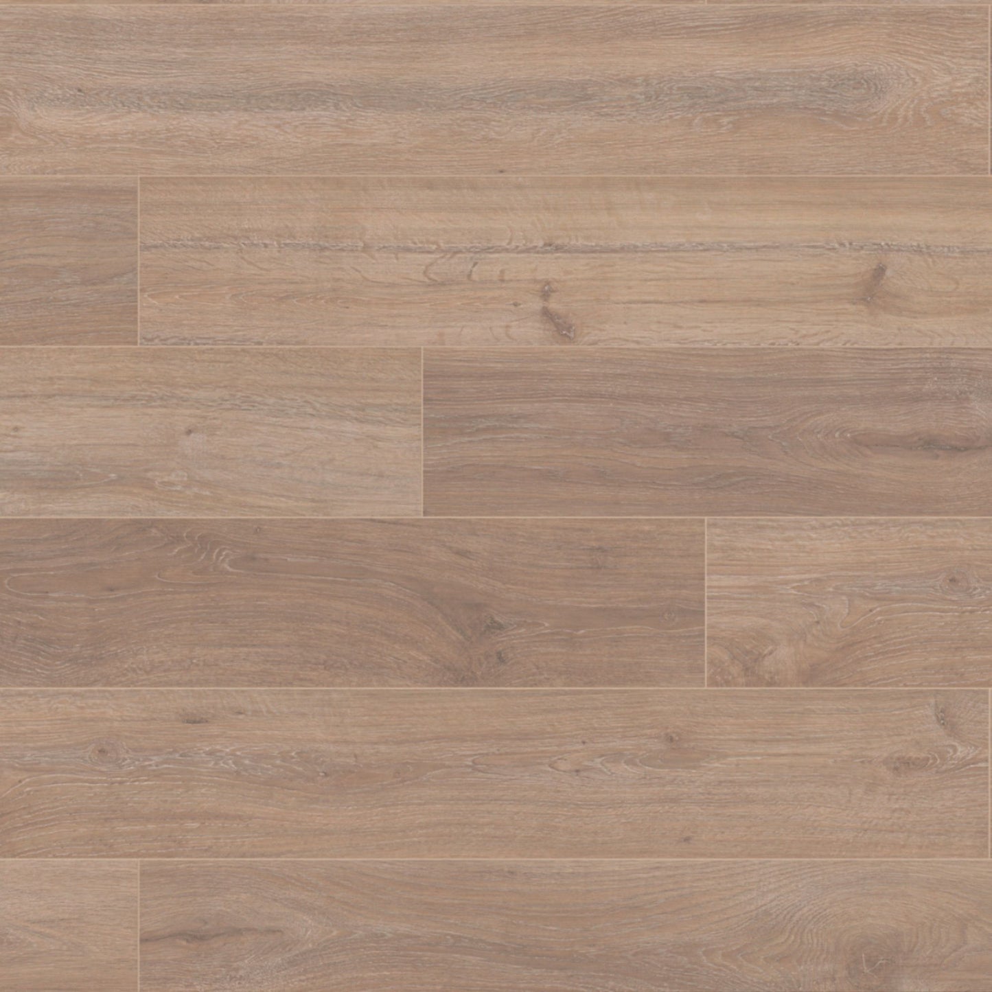 Khaki Oak Super Natural 8mm Laminate Board Image
