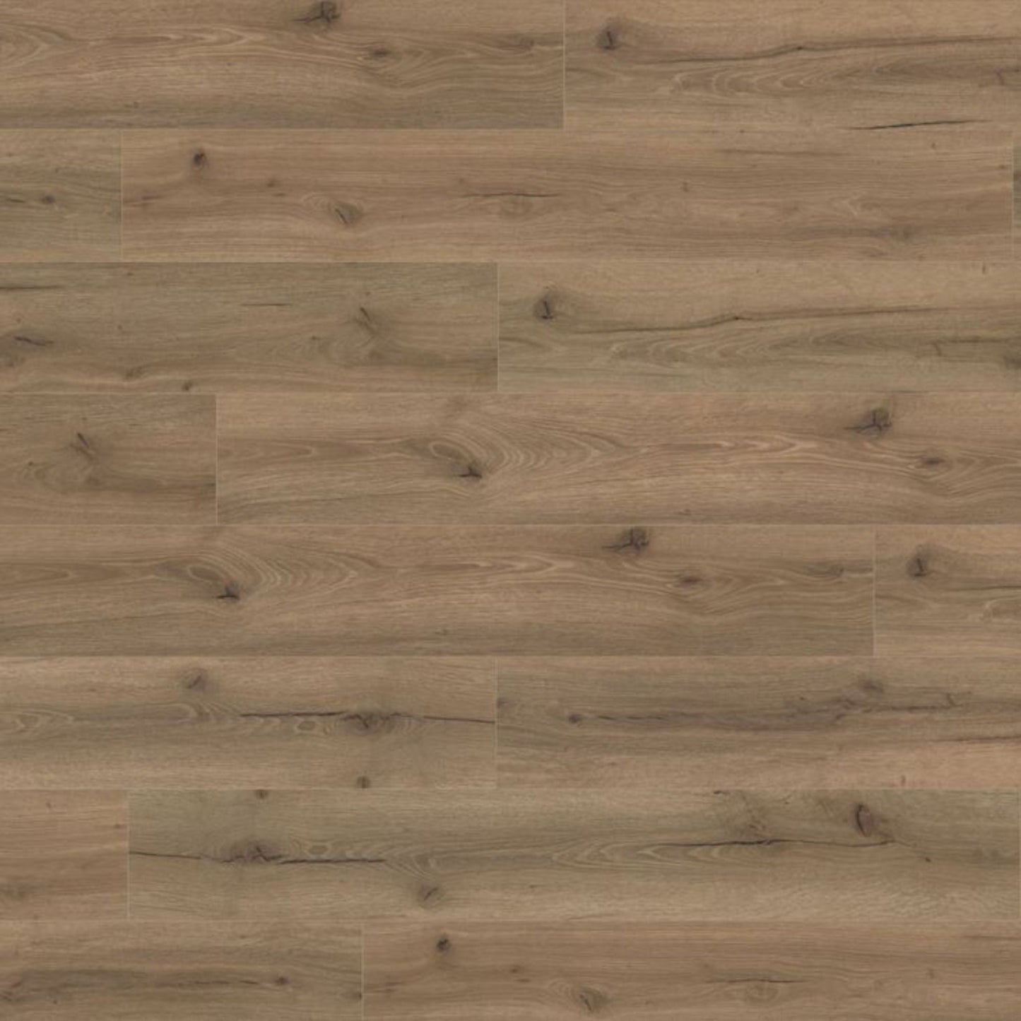 Mocha Oak Lignum Core 5mm Rigid Vinyl Board Image