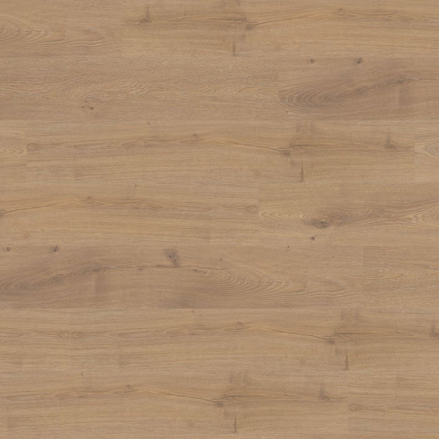 Oregon Oak Lignum Fusion 12mm Laminate Board Image