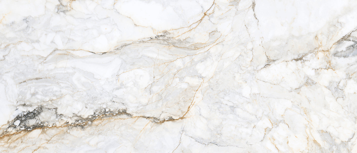 Pisa Gold 1200x600 Polished