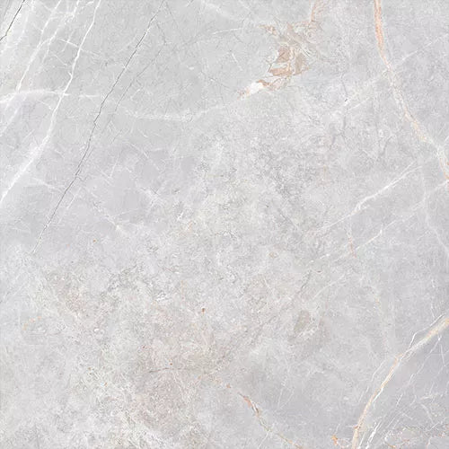 Marmi Gris 100x100