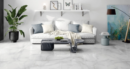Alpha Grey 60x120