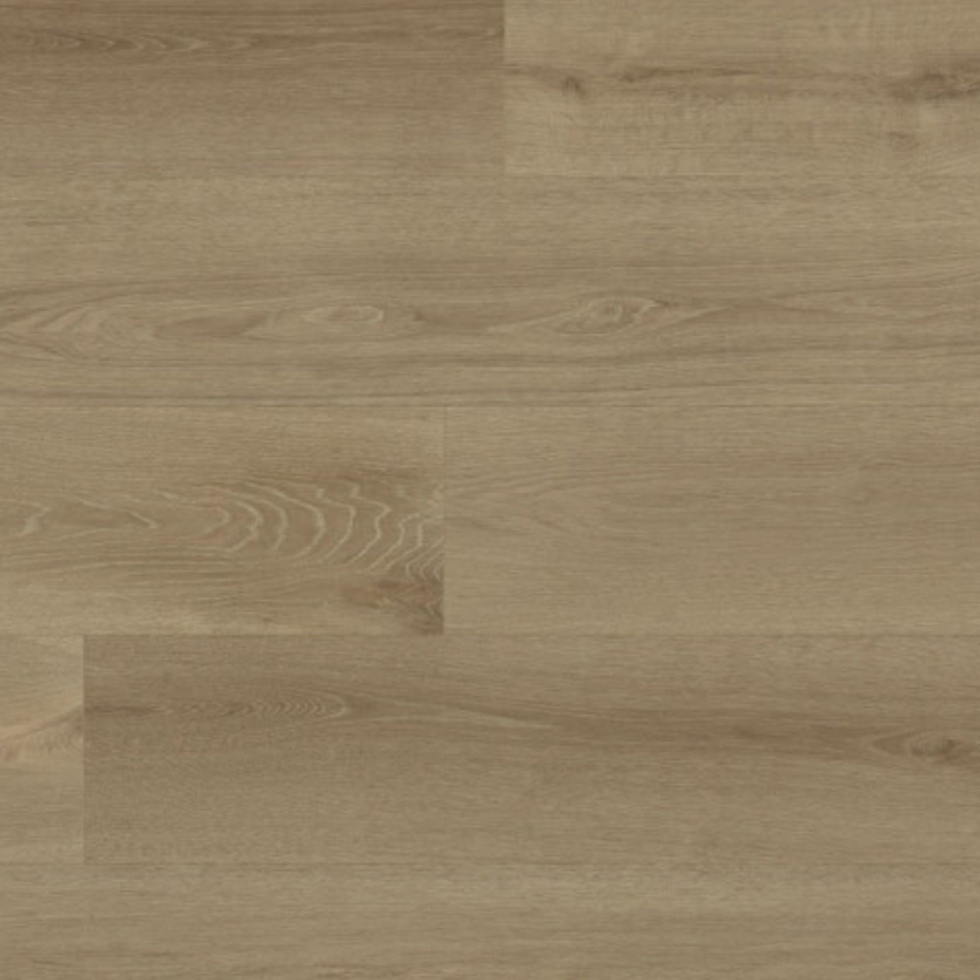 Blonde Montreux Oak Long & Wide 12mm Laminate Board Image