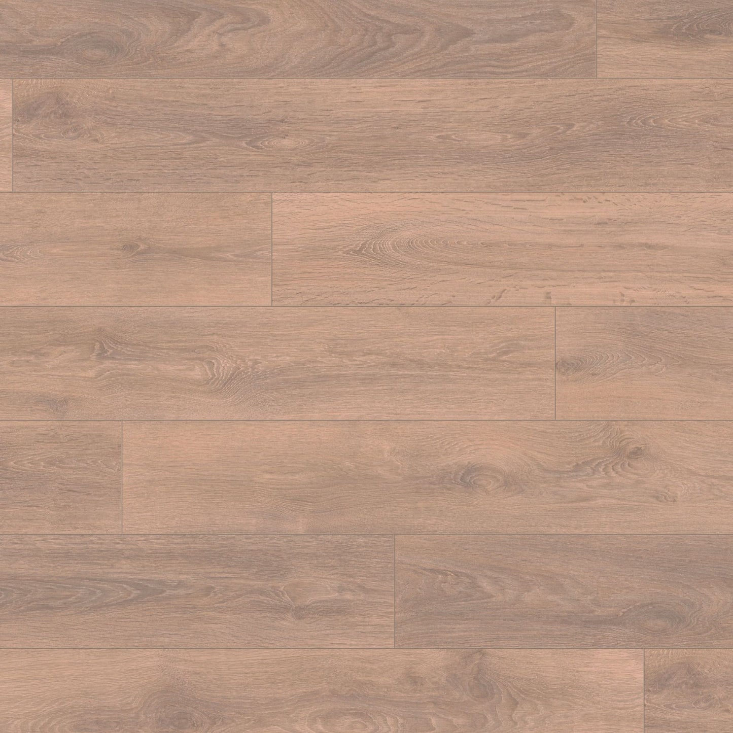 Blonde Oak Eurohome 12mm Laminate Board Image