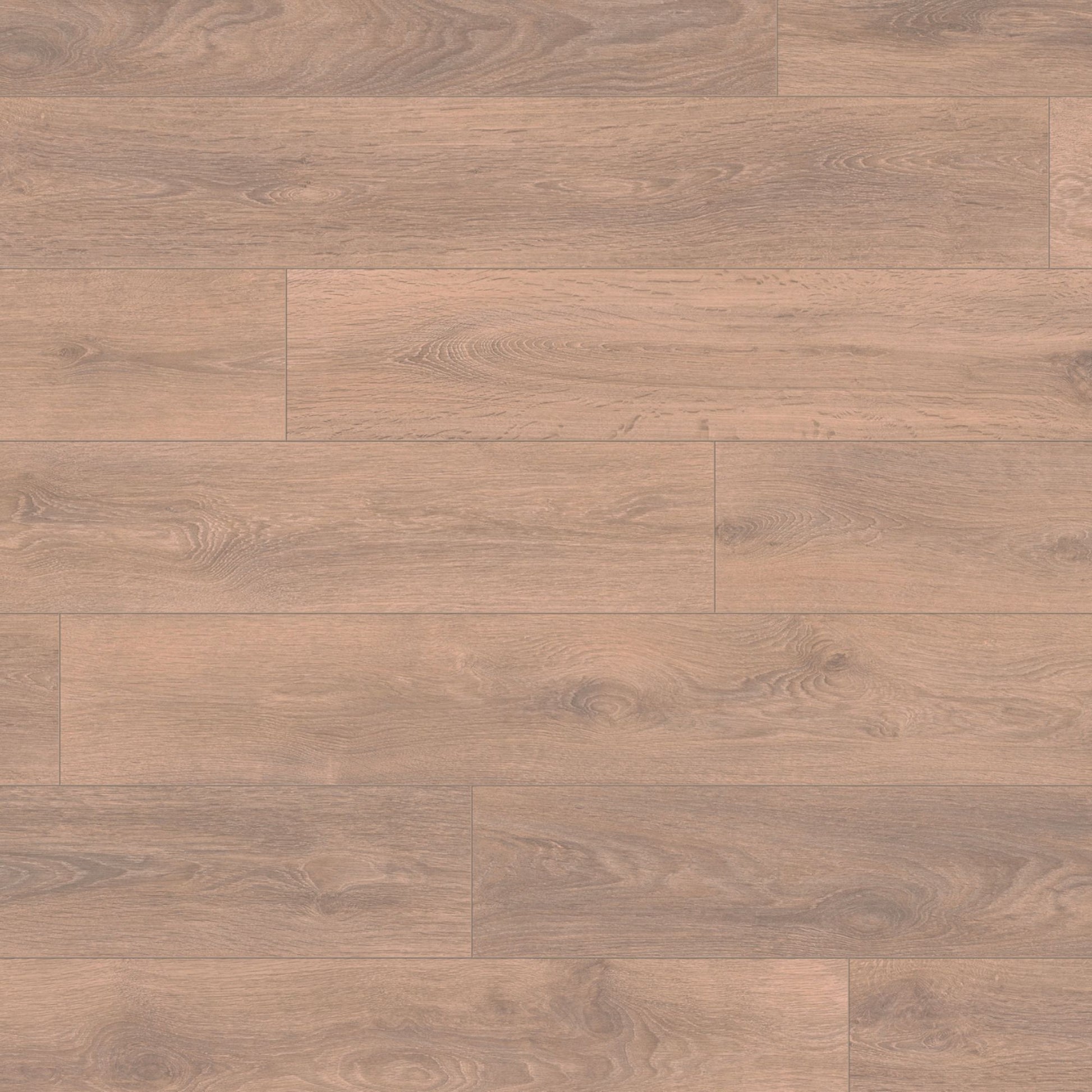 Blonde Oak Super Natural 8mm Laminate Board Image