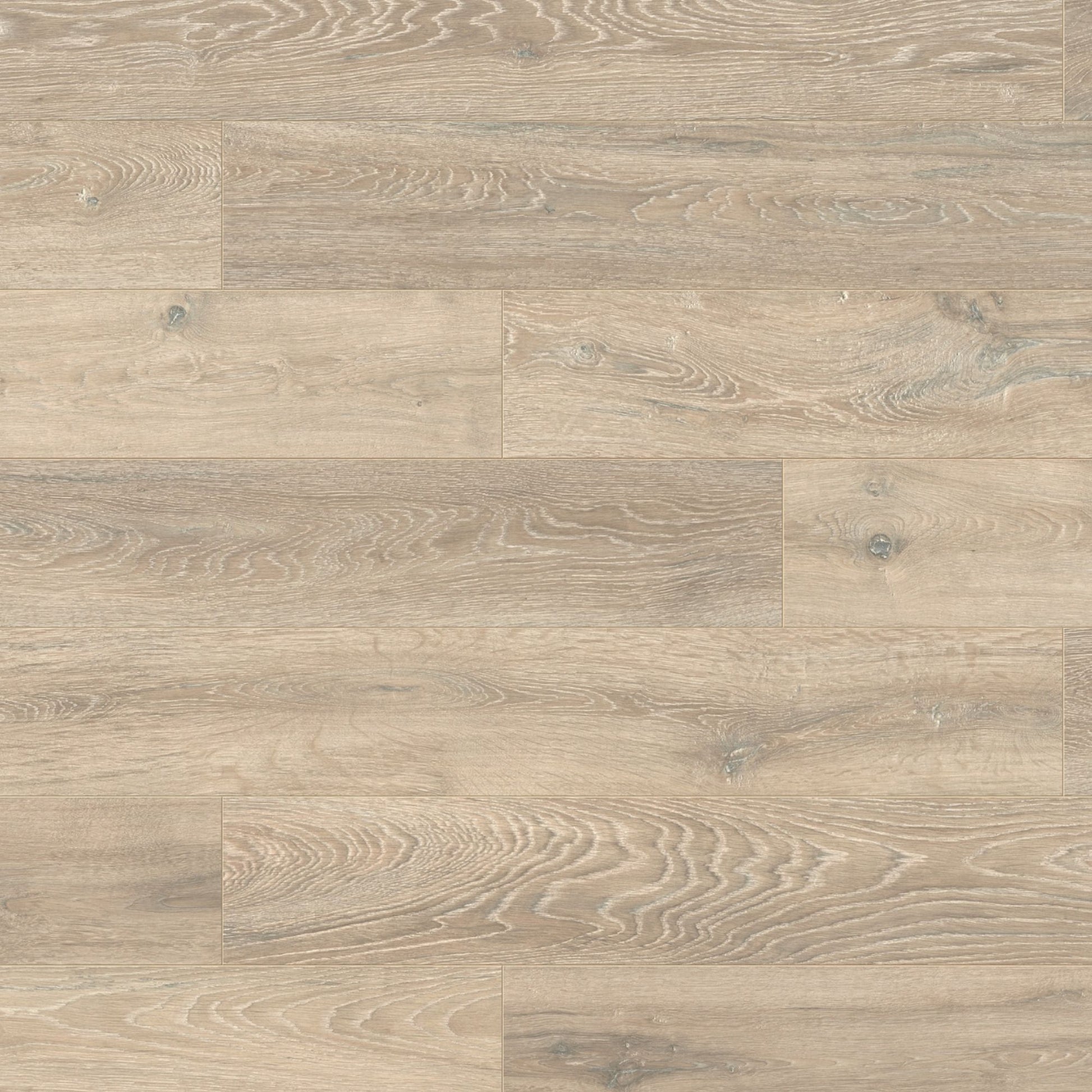 Colorado Oak Eurohome 12mm Laminate Board Image