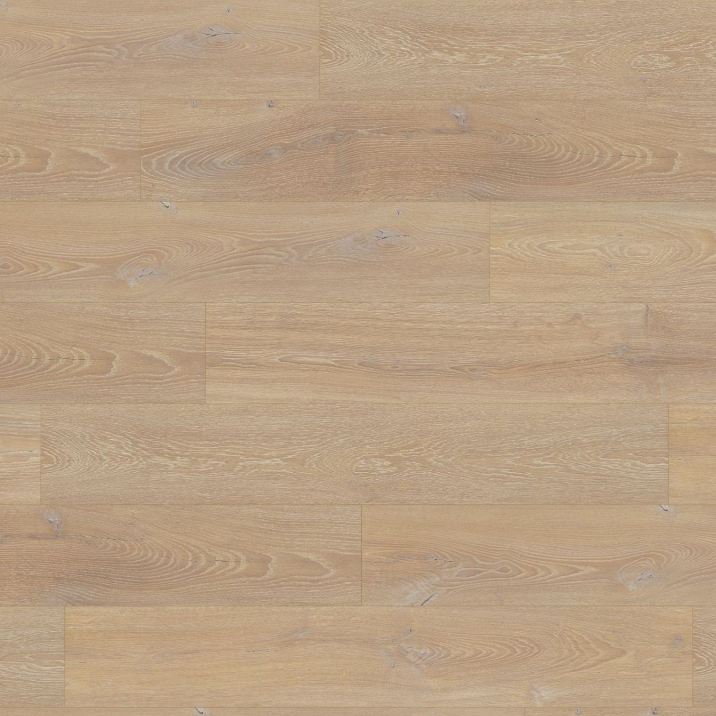 Desert Oak Lignum Fusion 12mm Laminate Board Image