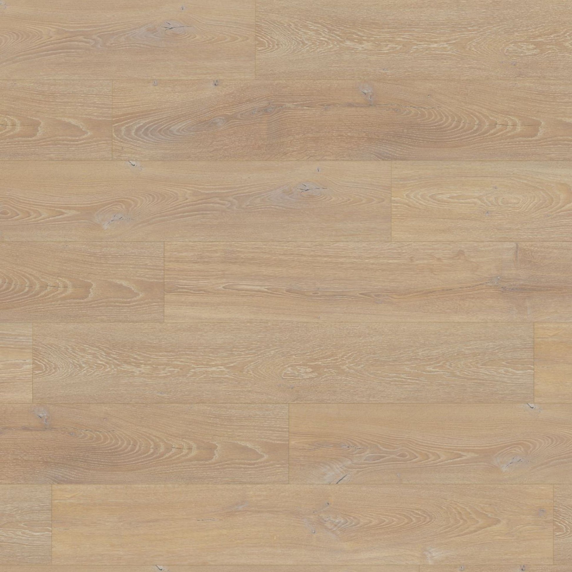 Desert Oak Lignum Fusion 12mm Laminate Board Image