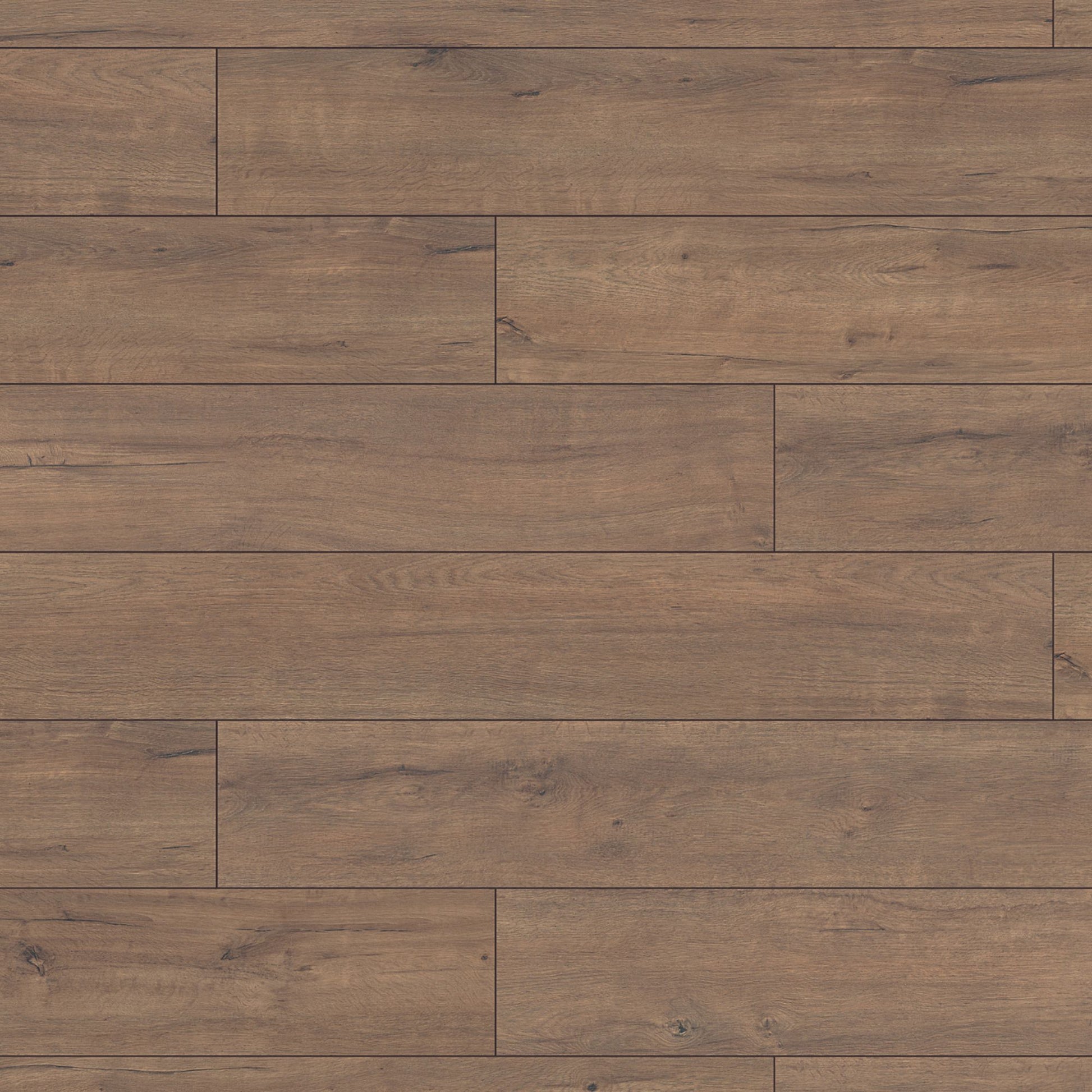 Fawn Apollo Oak Super Natural 8mm Laminate Board Image