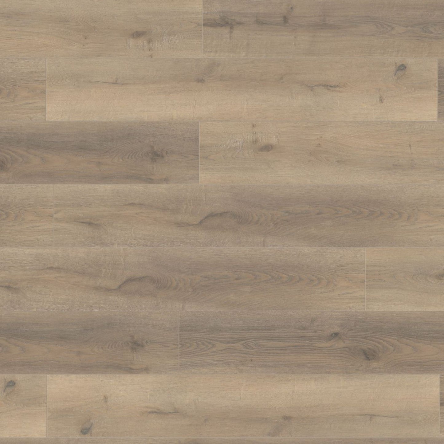 Greige Oak Lignum Fusion 12mm Laminate Board Image