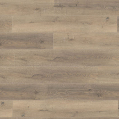 Greige Oak Lignum Fusion 12mm Laminate Board Image