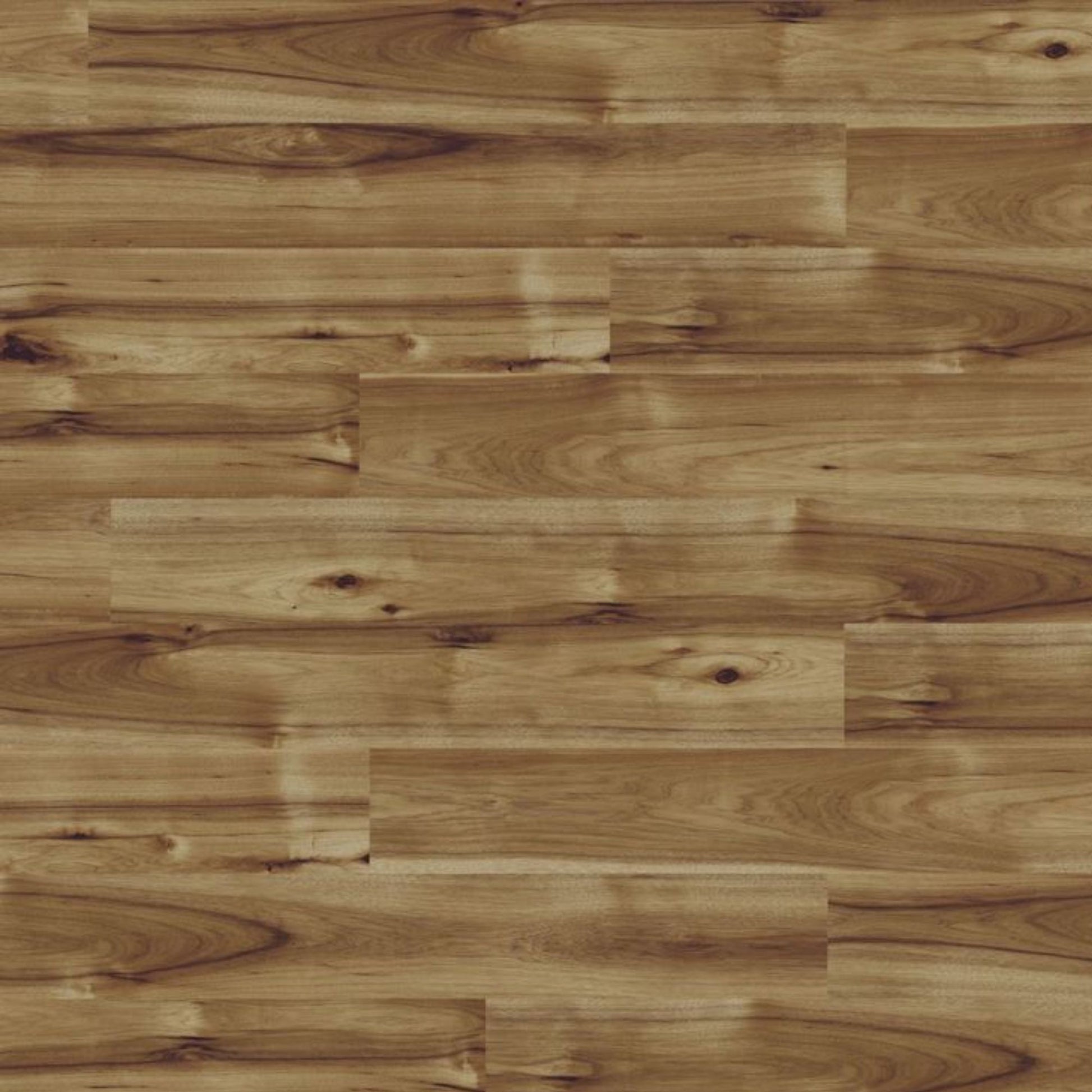 Hickory Bravo Kaindl Gloss 8mm Laminate Board Image