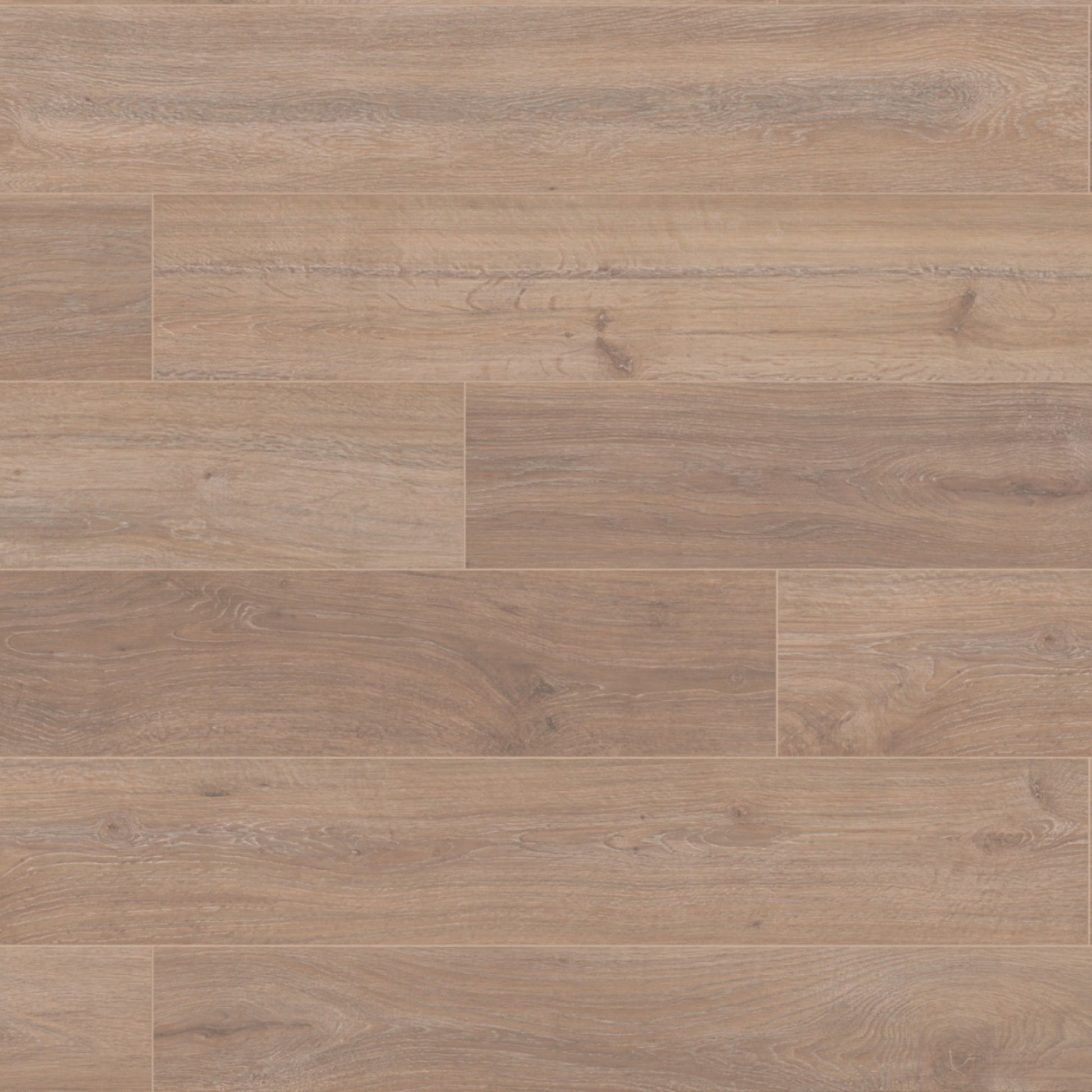 Khaki Oak Super Natural 8mm Laminate Board Image