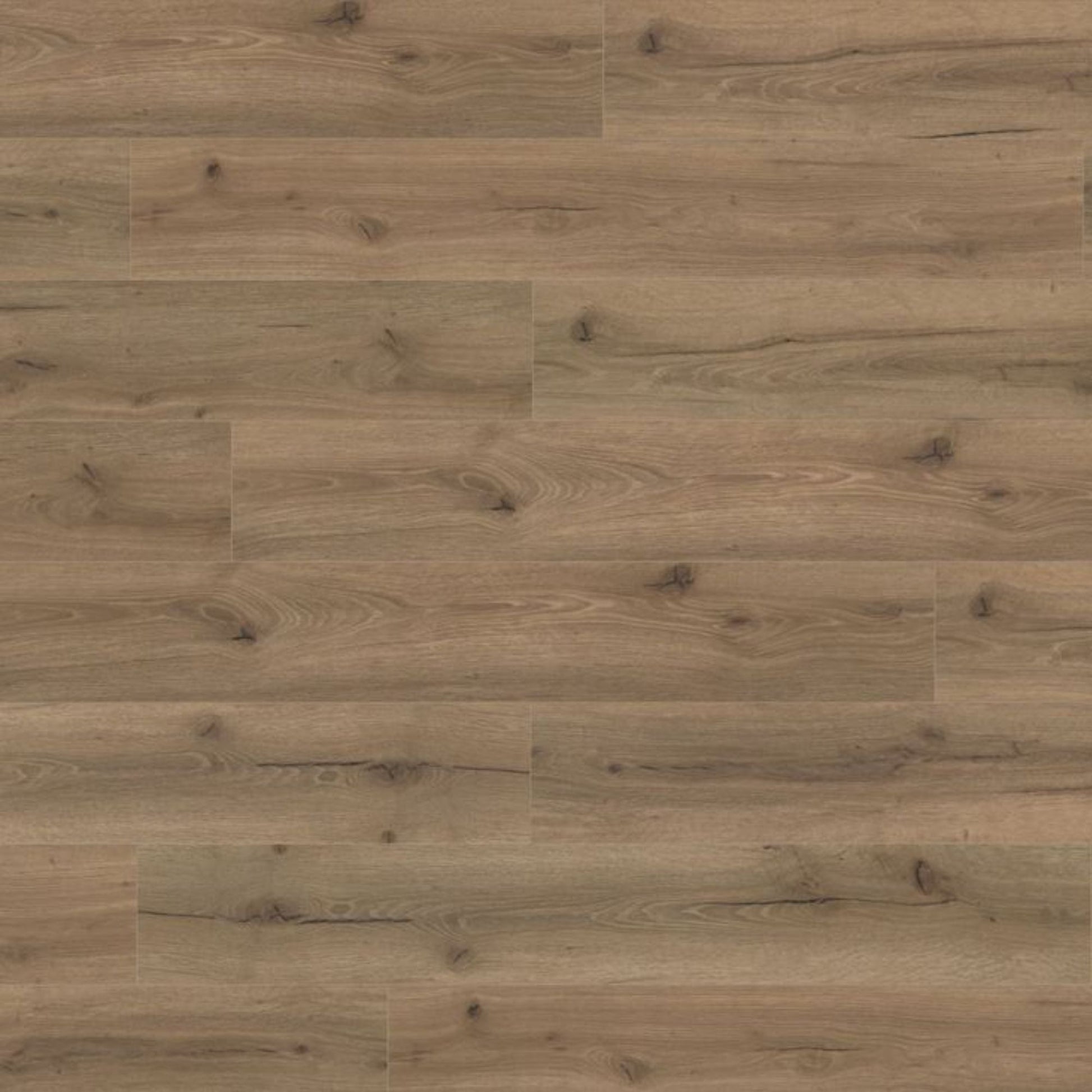 Mocha Oak Lignum Core 5mm Rigid Vinyl Board Image