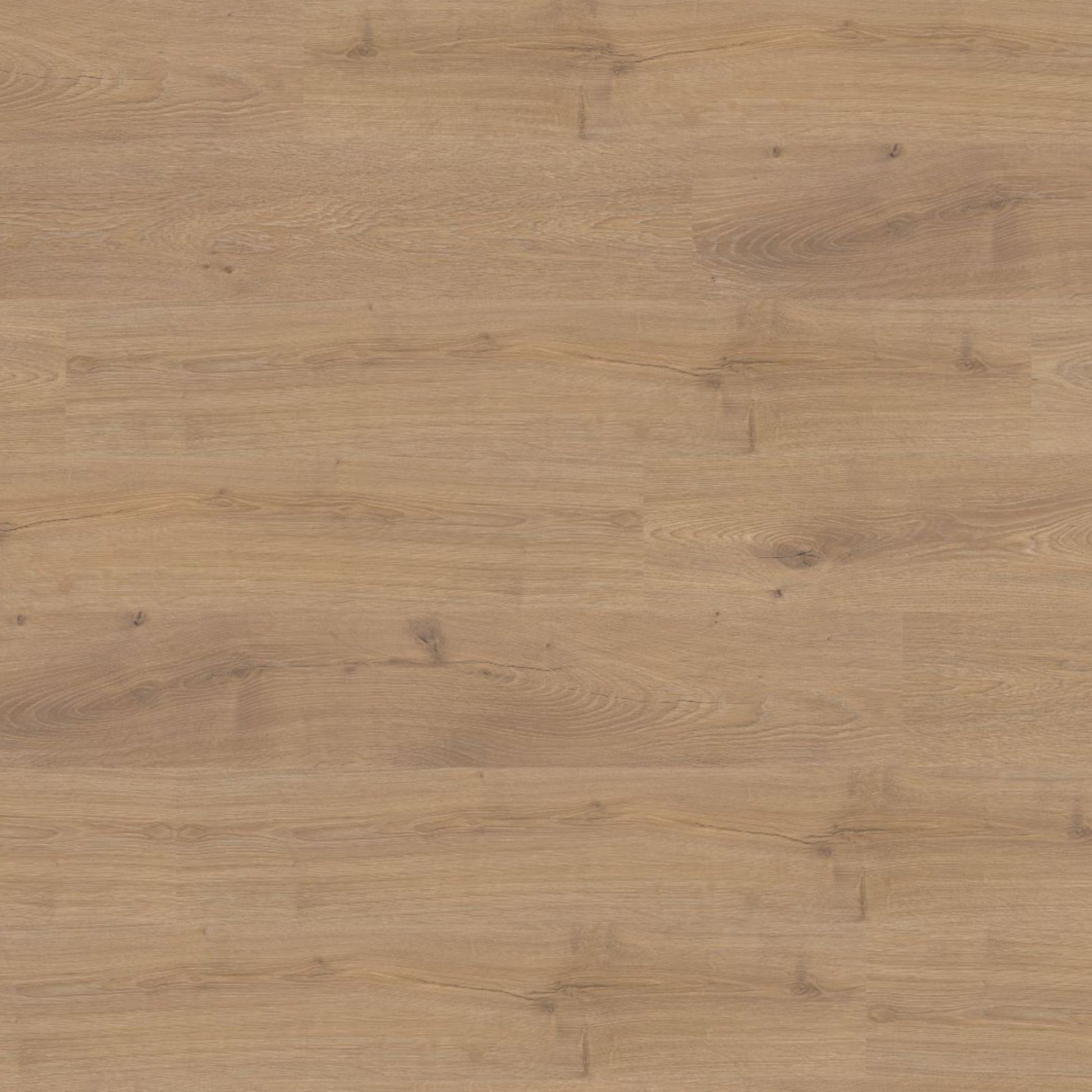 Oregon Oak Lignum Fusion 12mm Laminate Board Image
