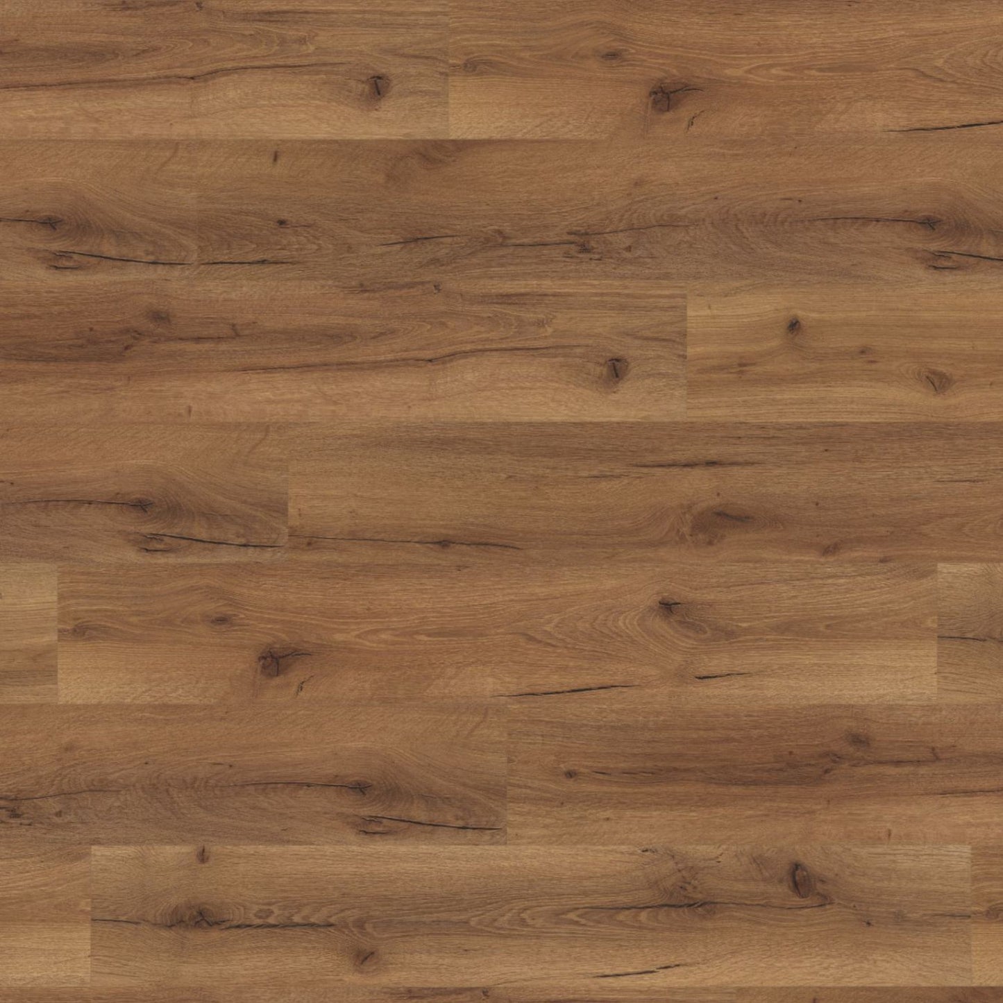 Robust Fumed Oak Lignum Fusion 12mm Laminate Board Image
