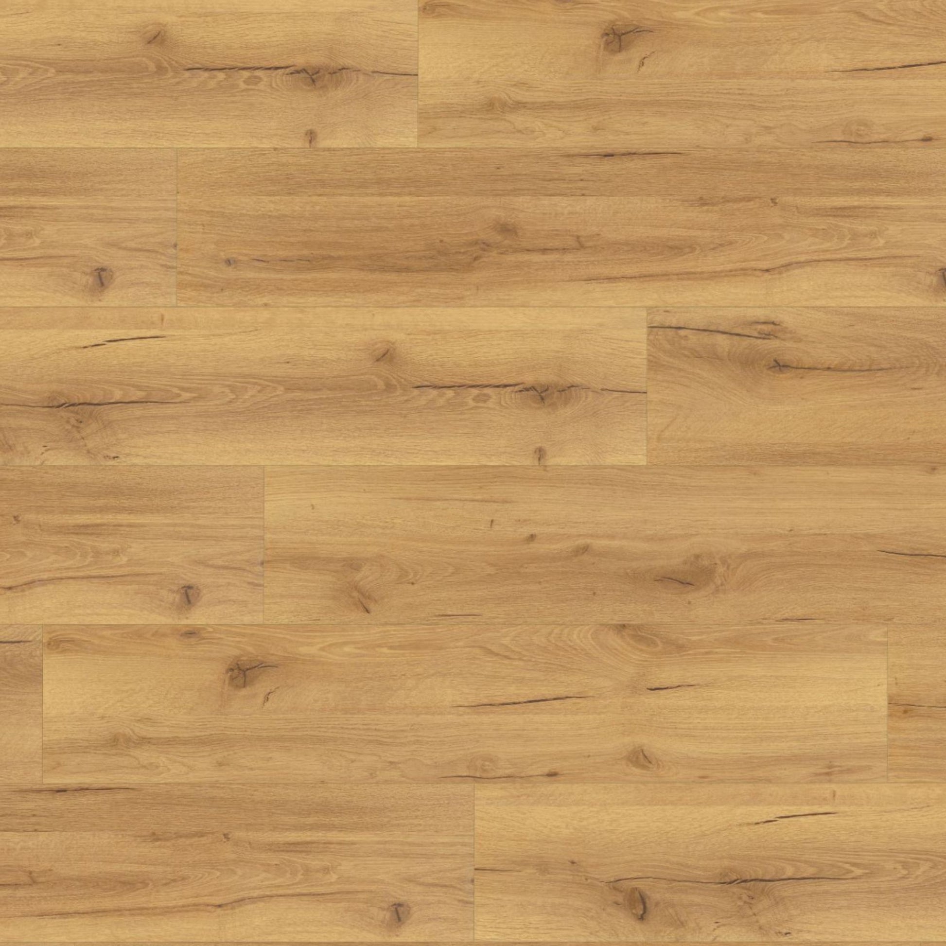 Robust Natural Oak Lignum Fusion 12mm Laminate Board Image