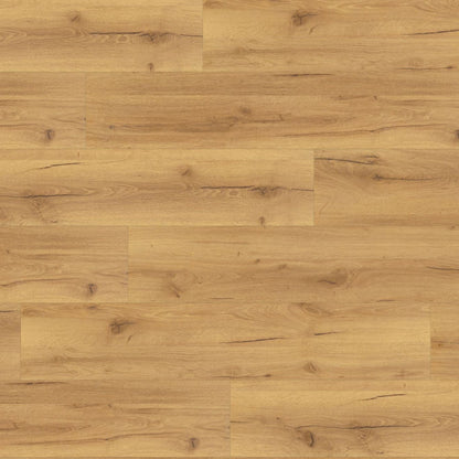 Robust Natural Oak Lignum Fusion 12mm Laminate Board Image
