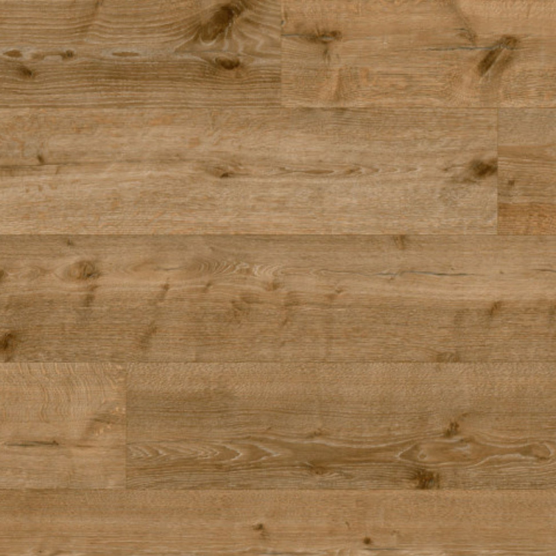 Sepia Tegernsee Oak Long & Wide 12mm Laminate Board Image