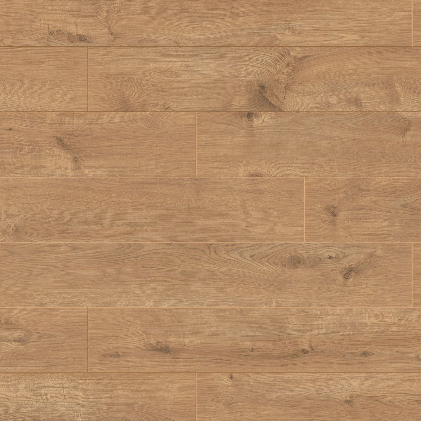 Sherwood Oak Eurohome 12mm Laminate Board Image