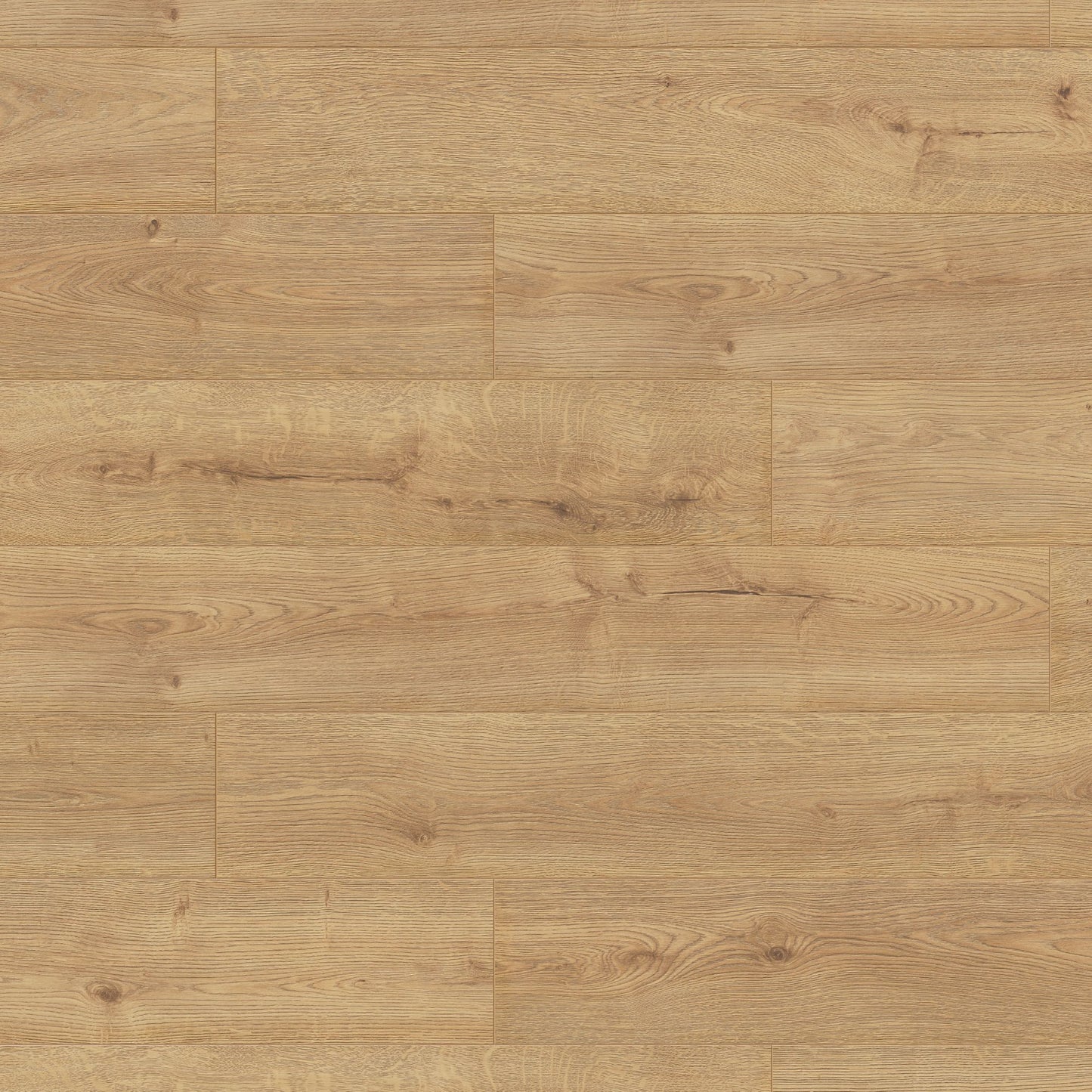 Sundance Oak Long & Wide 12mm Laminate Board Image