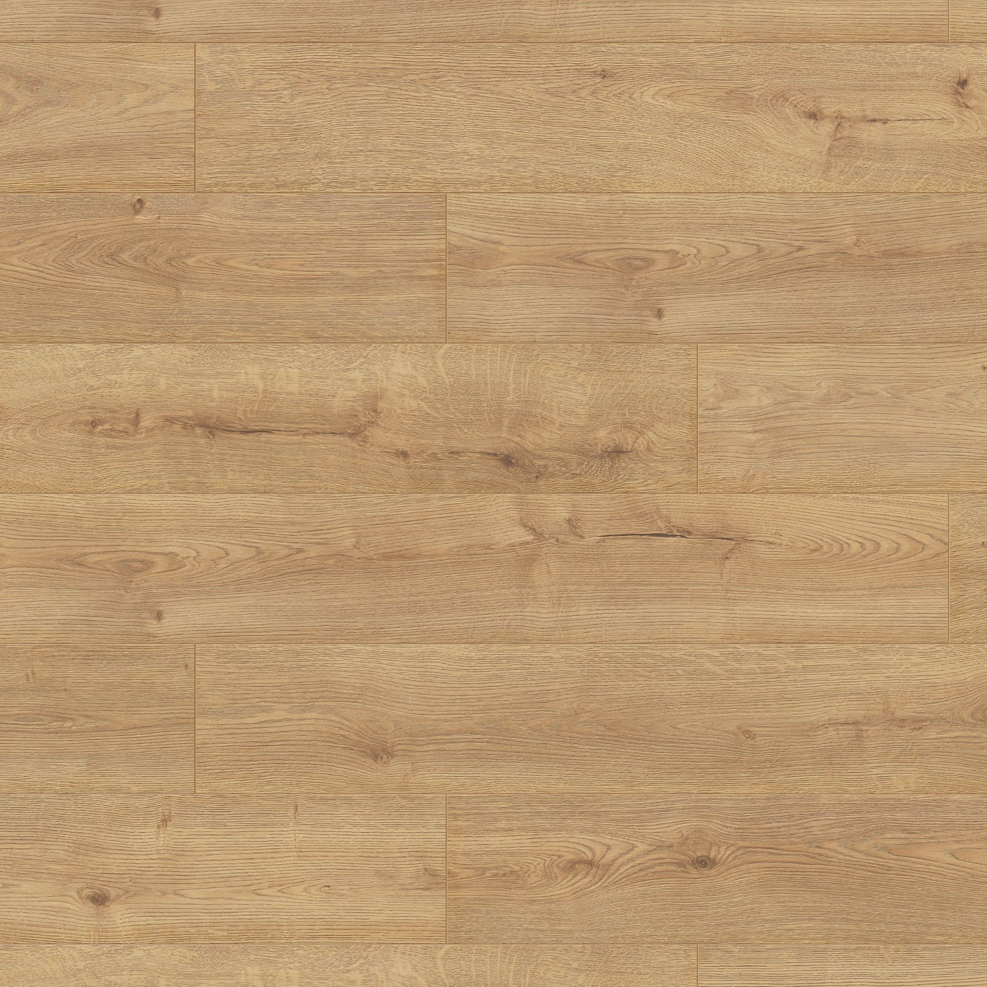 Sundance Oak Long & Wide 12mm Laminate Board Image