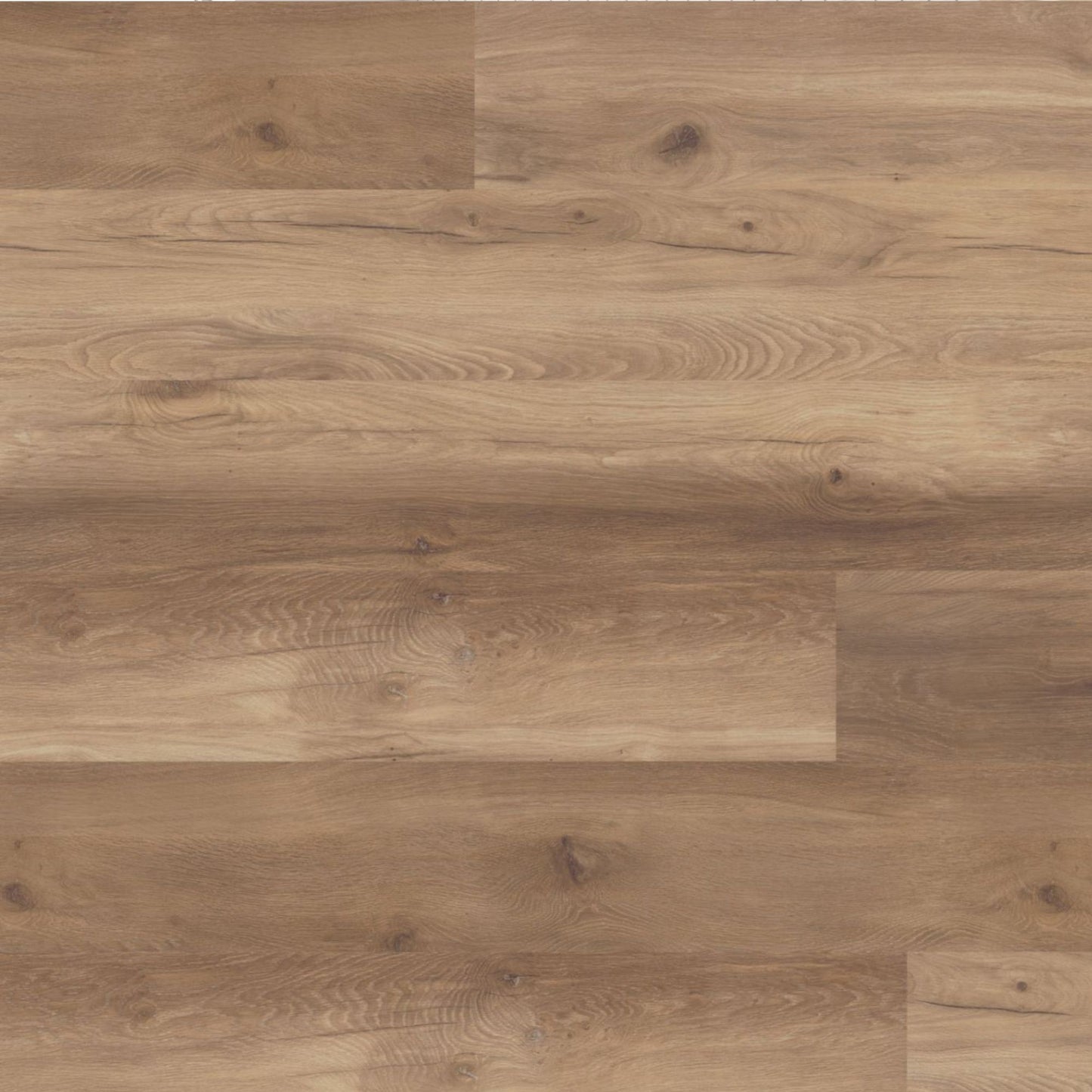 Wild West Oak Long & Wide 12mm Laminate Board Image