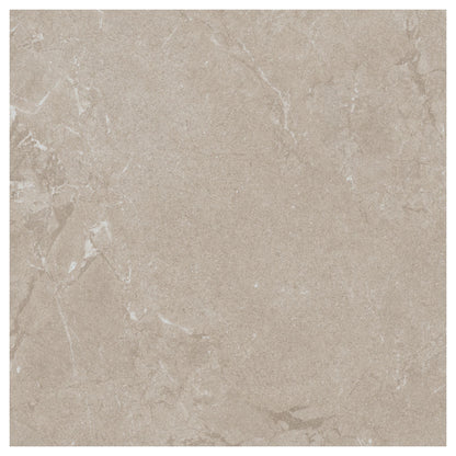 Constanza Mocha Matt 1000x1000 Tiles Image