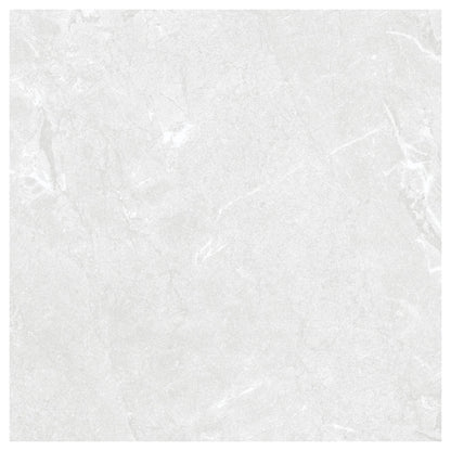 Constanza White Matt 1000x1000 Tiles Image