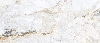 Pisa Gold 1200x600 Matt